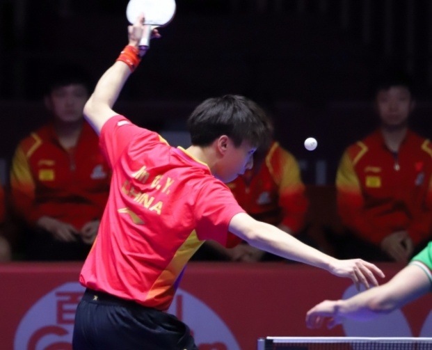 包含比利时乒乓球队逆转韩国乒乓球队，马龙关键制胜的词条