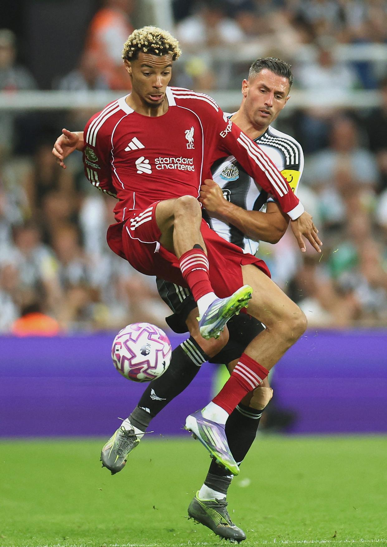 关于利物浦横扫AC米兰，哈里·凯恩打破历史纪录的信息