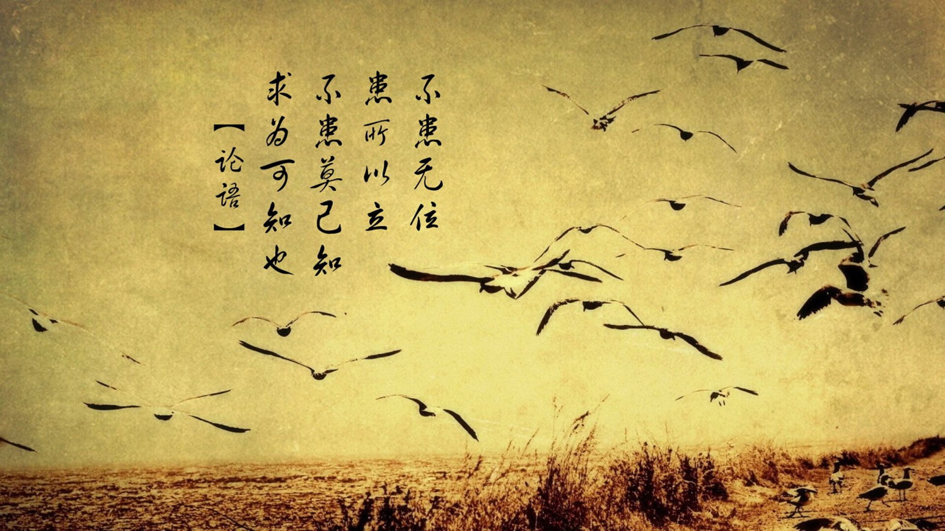 PG电子APP链接-从质疑到救赎，德里赫特的自我觉醒与尤文一击制胜丹麦