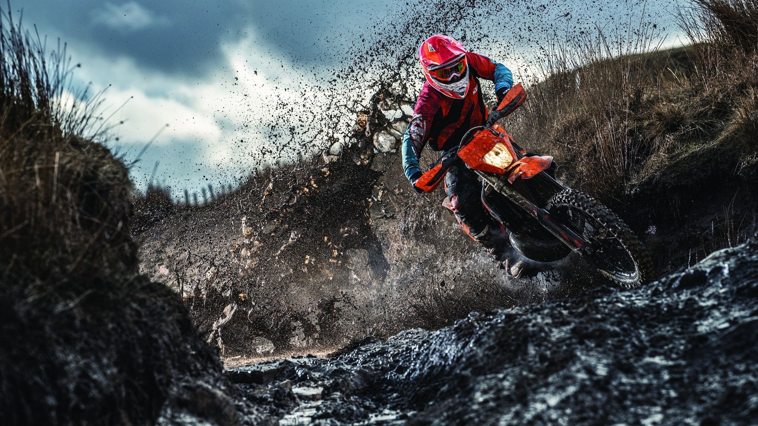 张继科扛起全队，德国队险胜英格兰队背后的团队精神启示